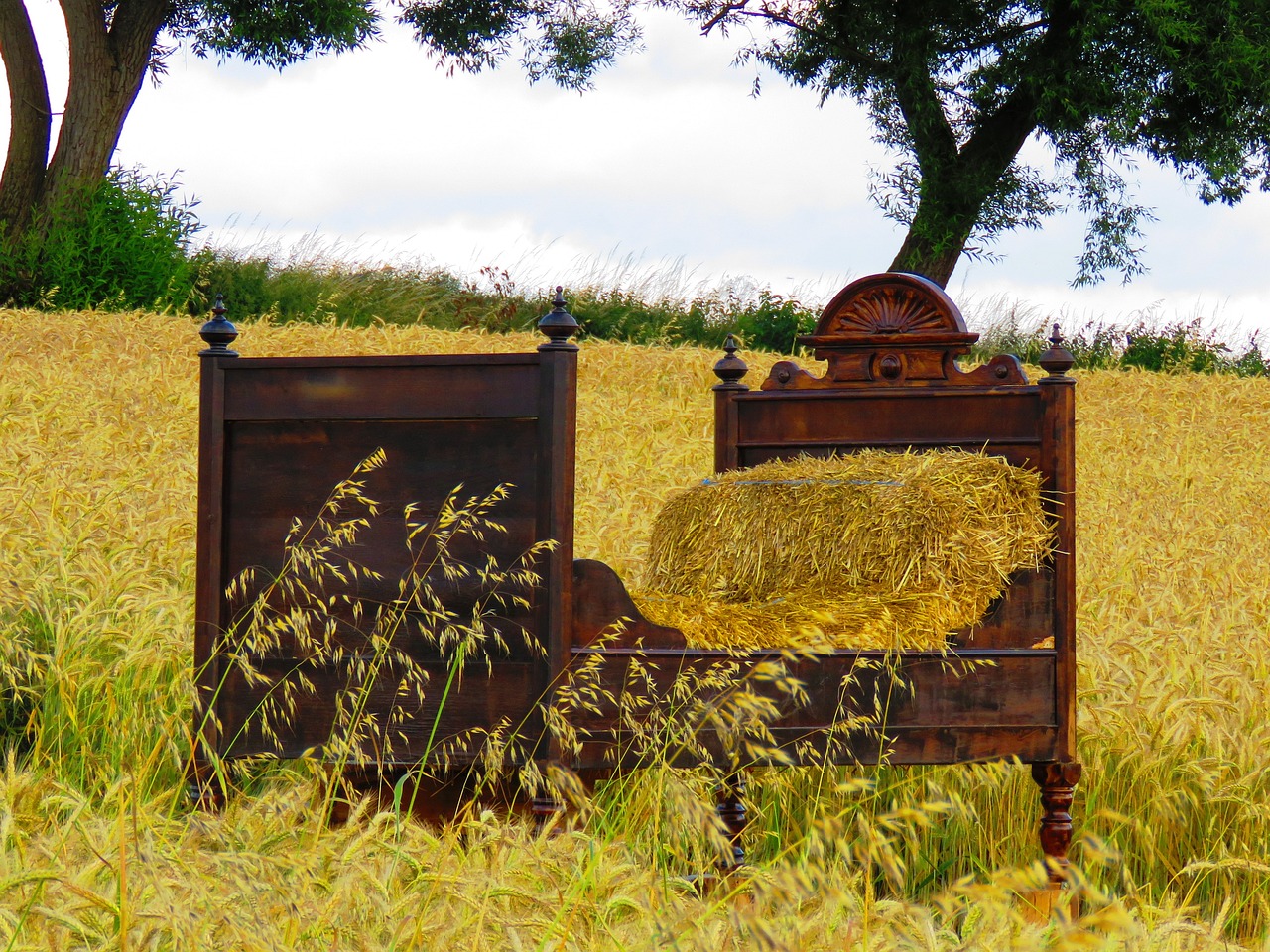 What Are Raised Garden Beds and How to Use Them